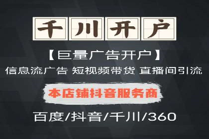 百度优化推广案例：打造行业领先品牌